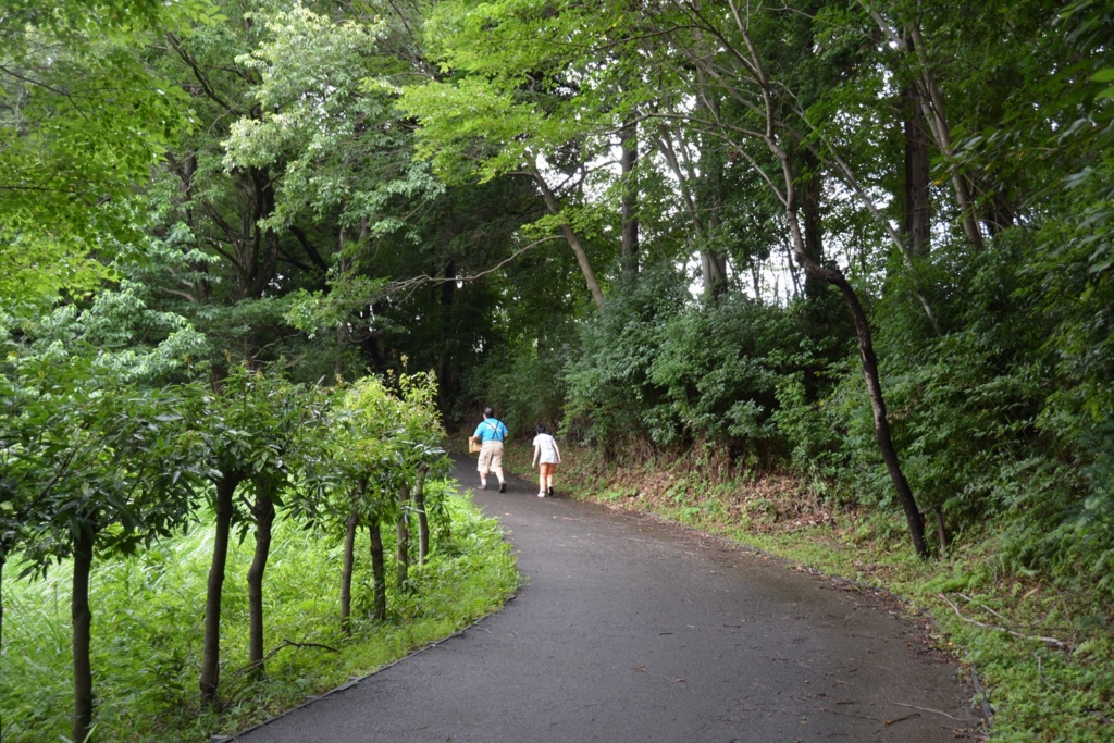 f:id:pukapuka-pan:20150723145457j:plain