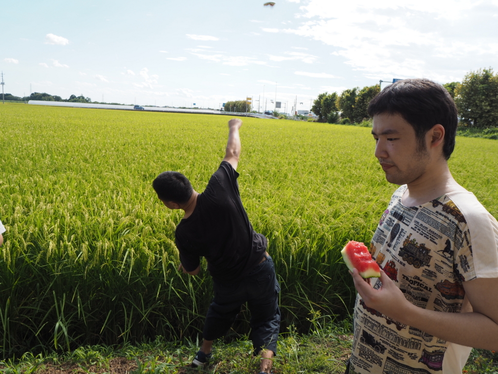 f:id:pukapuka-pan:20180826170110j:plain